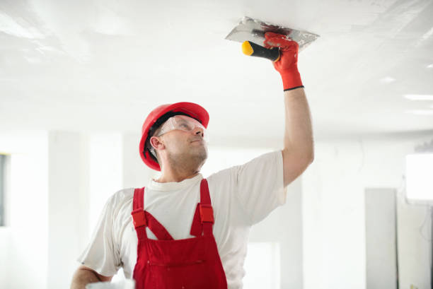 Best Exterior Painting  in Albany, CA